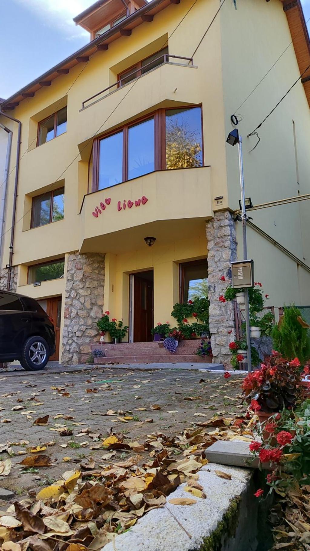 Liana 3* Brasov