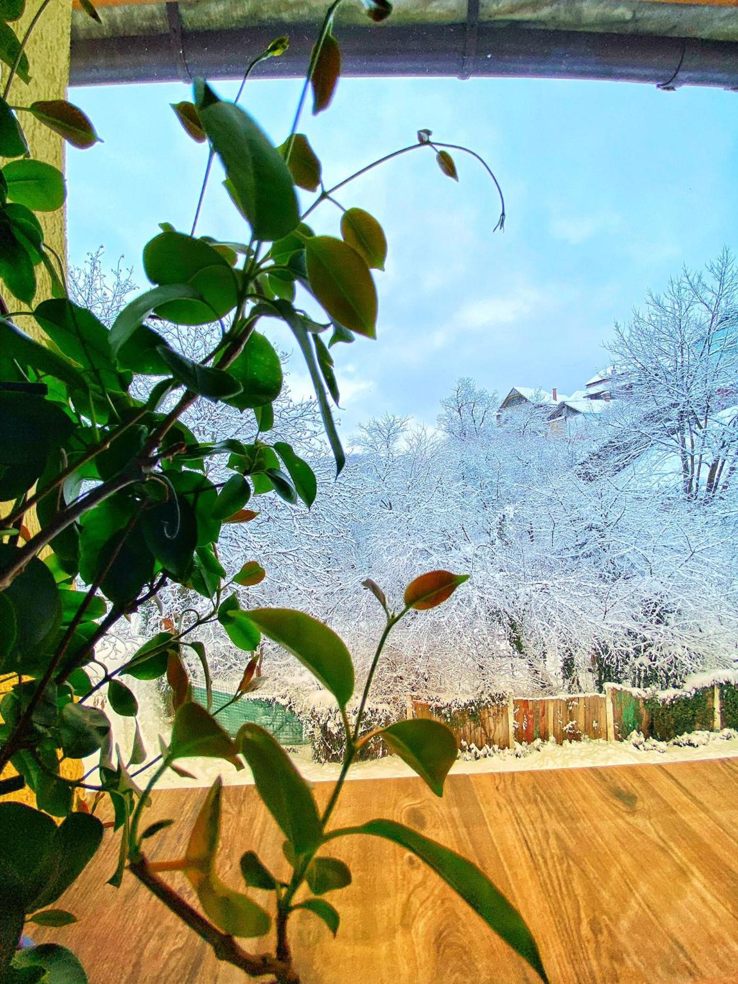 Guest house Liana Brasov