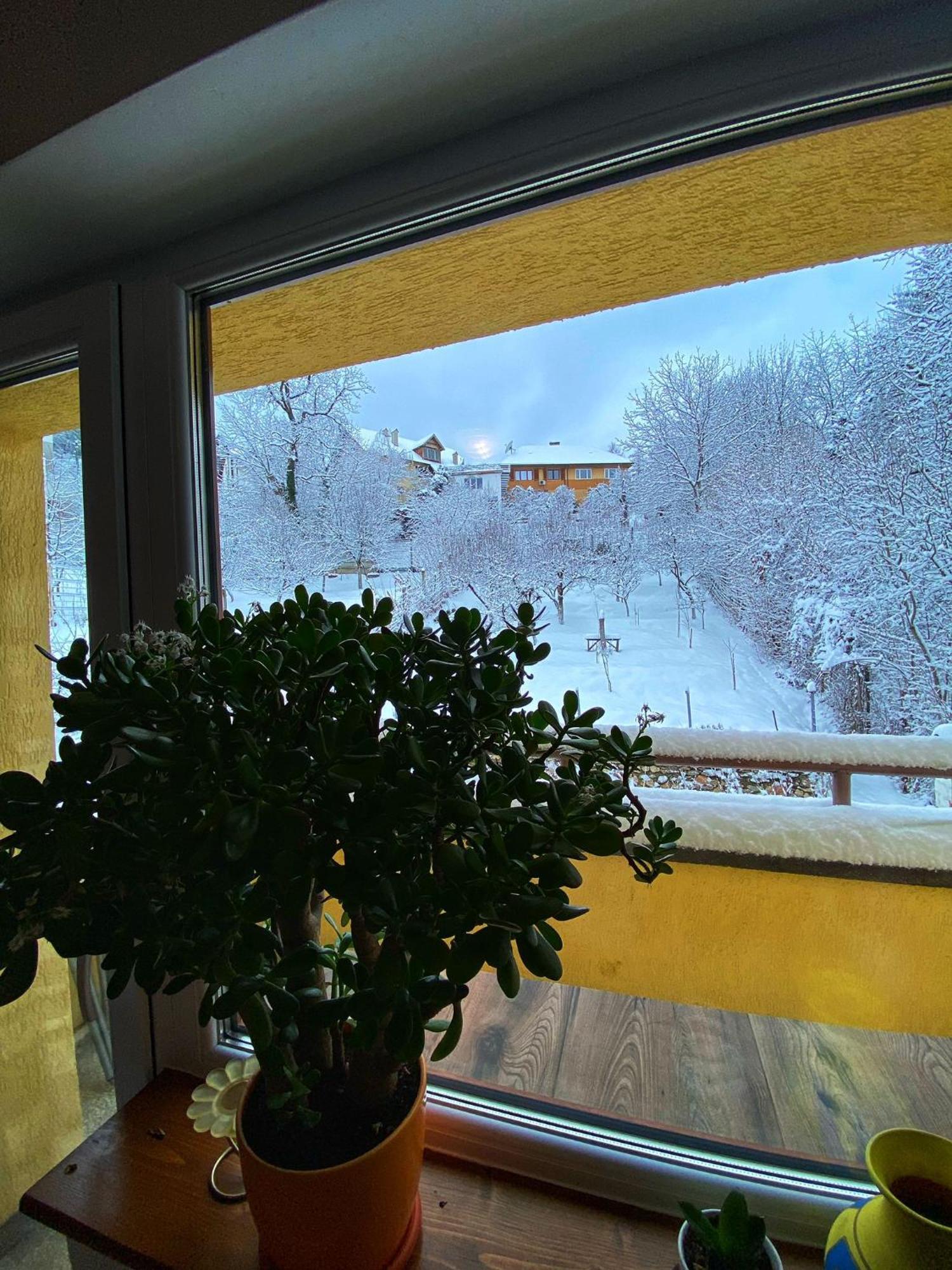 Liana 3* Brasov