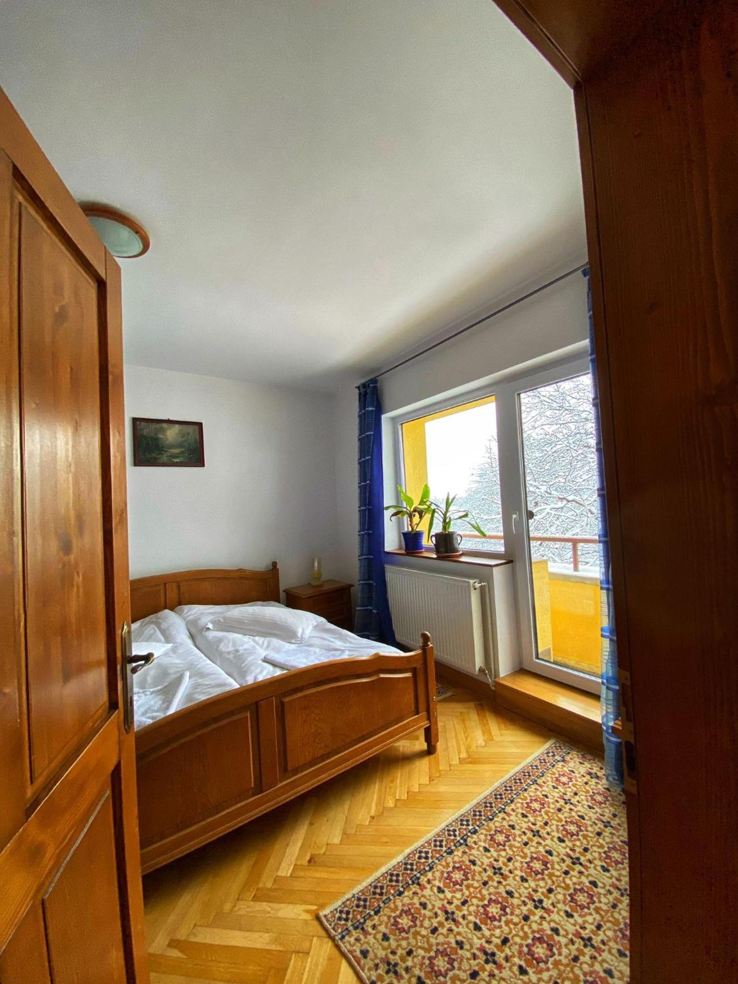 Guest house Liana 3*