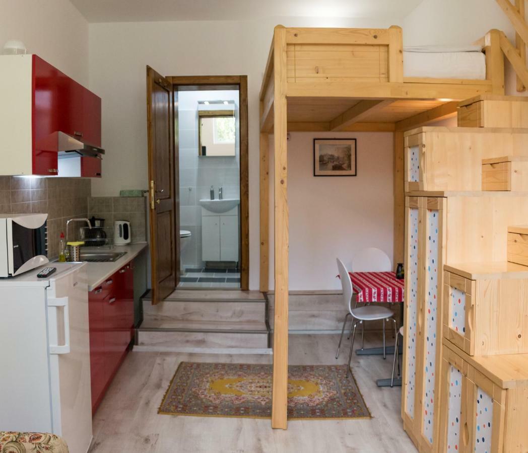 Liana Guest house Brasov