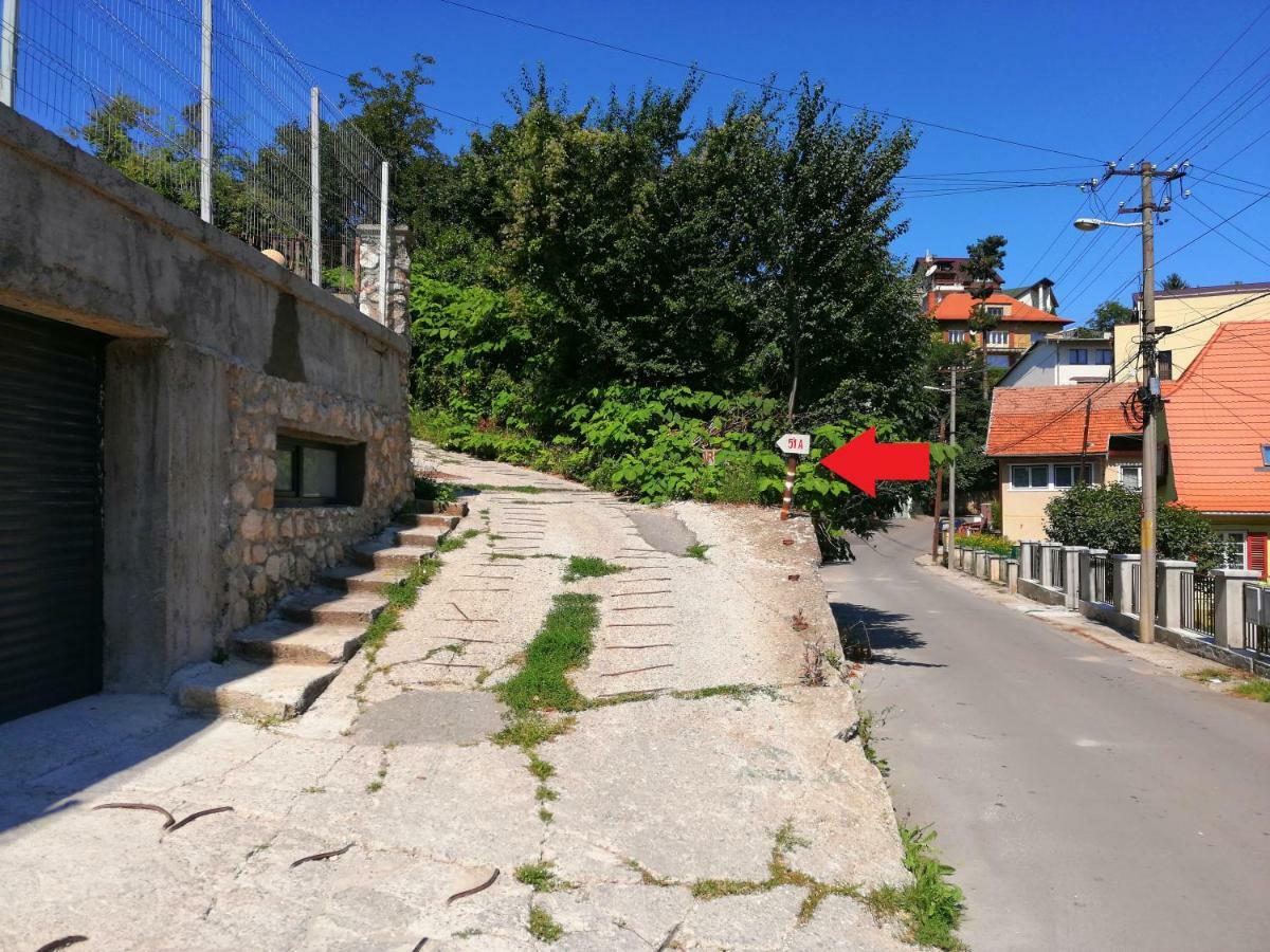 Liana Guest house 3*