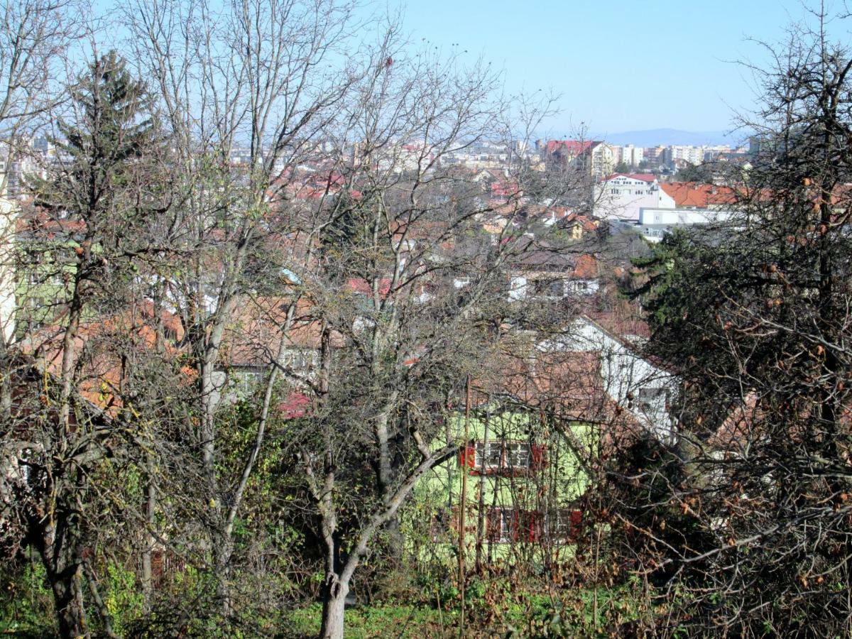 Guest house Liana Brasov