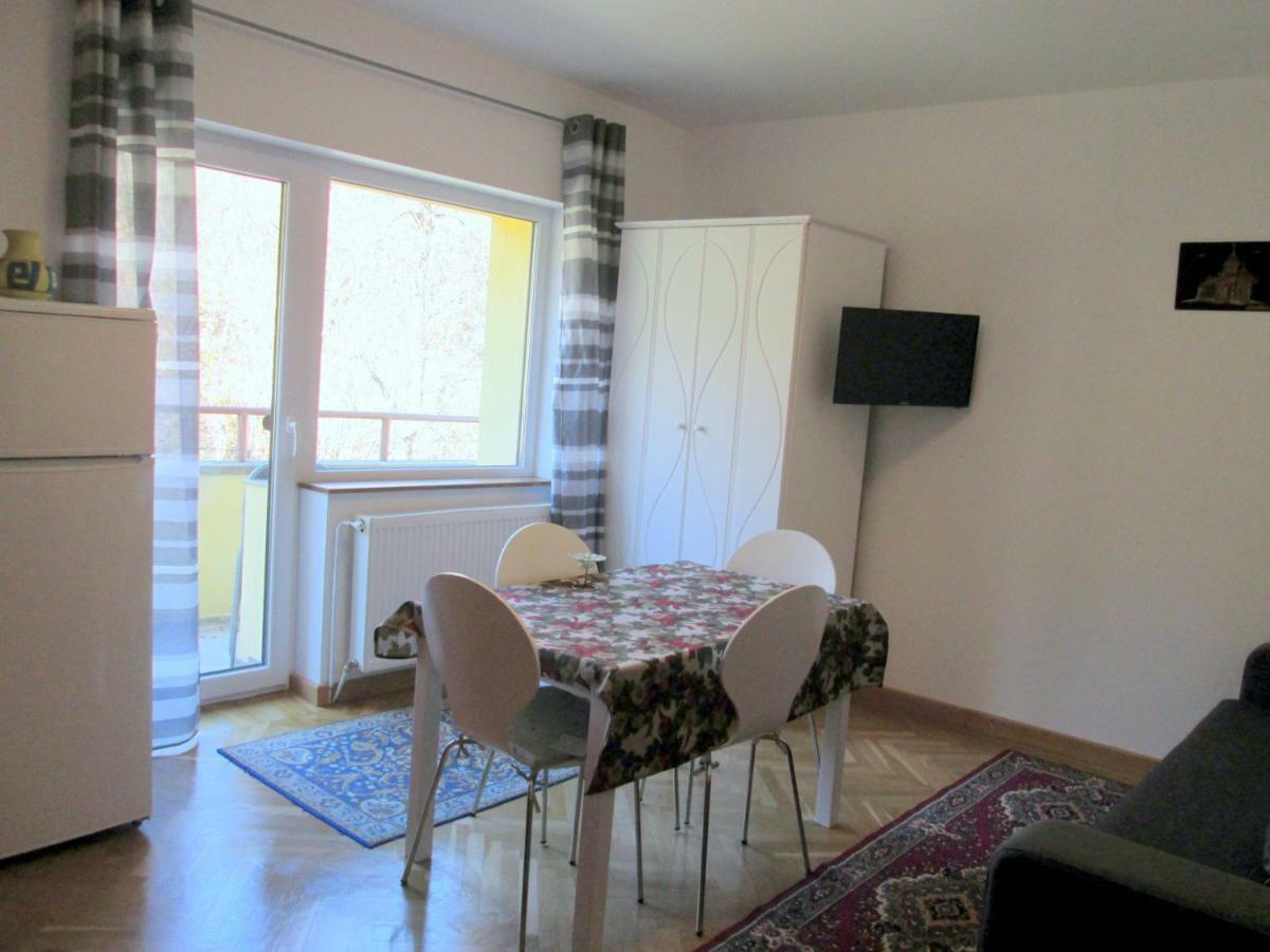 Guest house Liana Brasov