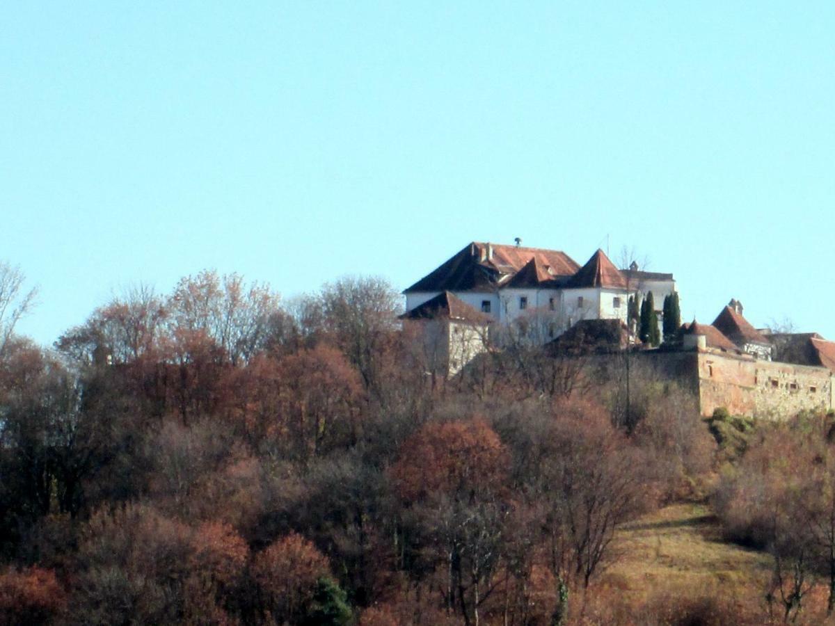 Liana Guest house Brasov
