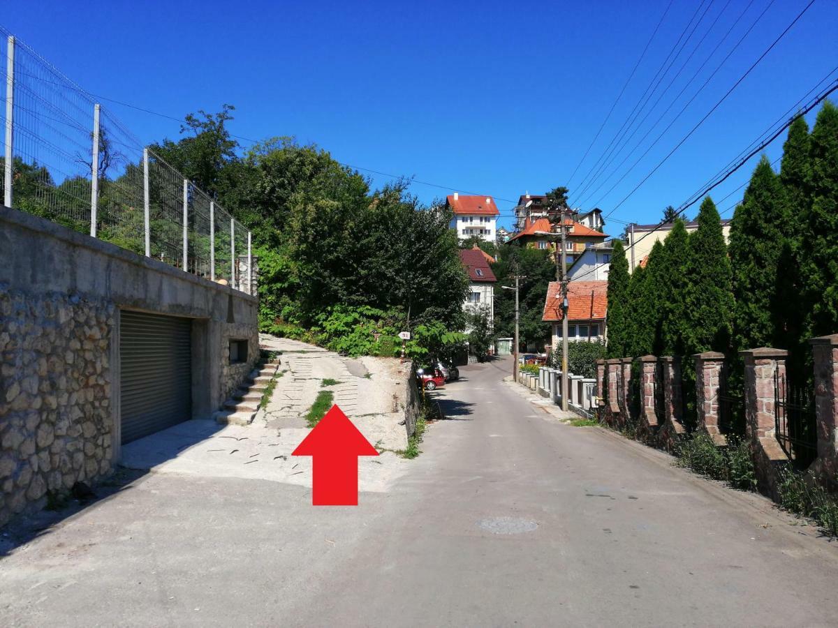 Liana 3* Brasov