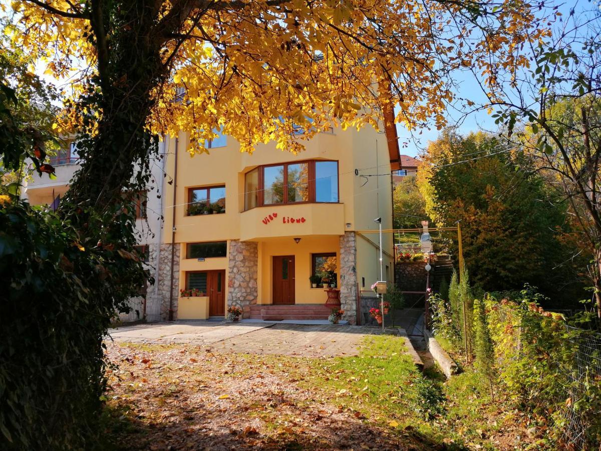 Liana Guest house